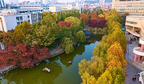 11월 카지노사이트 후기에세이 대표이미지