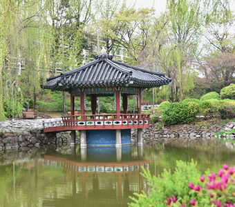 카지노사이트 한국와 벤치