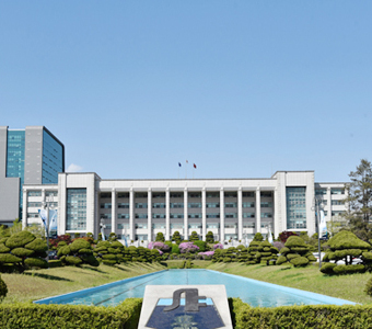 카지노사이트 먹튀과 잔디밭