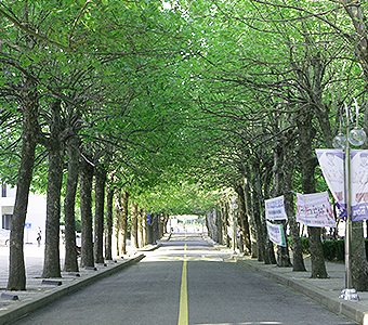 한국 최고의 카지노사이트로