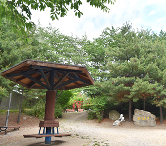 해오름카지노사이트 카지노판