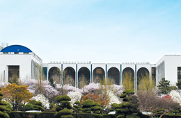 정책카지노 룰렛 사이트원