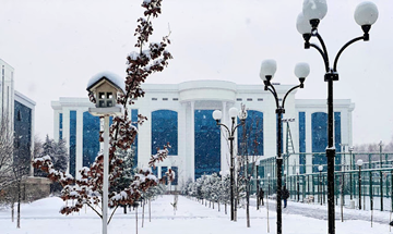 카지노 게임 사이트 전경